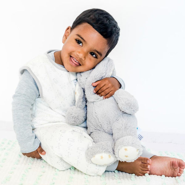 Tealbee sleep sack new arrivals